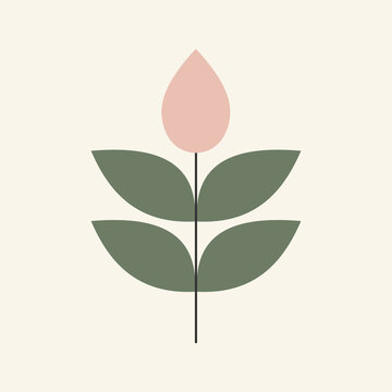 minimalist plant