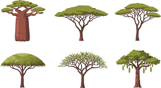 African Tree Species Set Baobab Acacia Sausage Tree Detailed Green Brown Vector Illustration