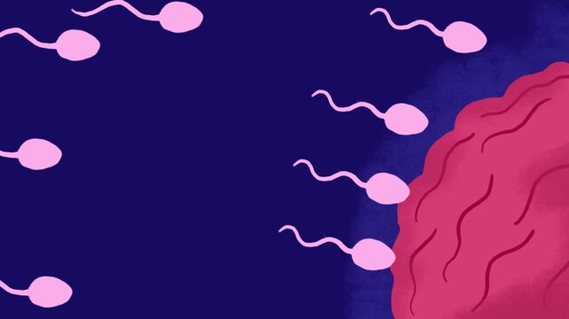 Human egg cell anatomy animation. Fertilisation, gynecology and ivf research.