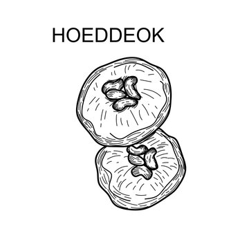 Sweet Korean Pancake Hotteok with Nuts Illustration
