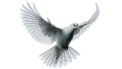Obraz premium Dove white bird with open wings flying symbol of peace with shadow cut out isolated on white background. AI generated.
