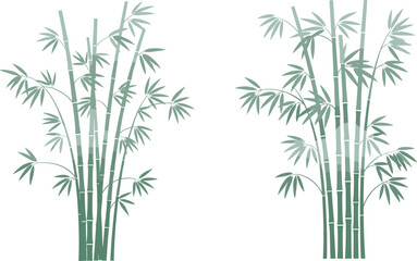 Obraz premium Vector Illustration of Bamboo Plants with Smooth Gradient Stalks and Lush Green Leaves for Nature, Garden, and Eco Designs
