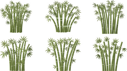 Fototapeta premium Vector Illustration of Bamboo Plants with Tall Stalks and Lush Green Leaves for Nature, Garden, and Eco-friendly Designs