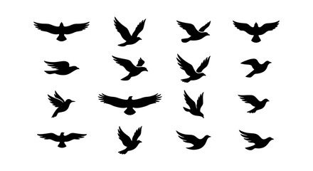 Obraz premium Black bird silhouettes collection, flying eagle and hawk icons set, 16 vector bird shapes in flight, soaring raven and crow outlines for logo design