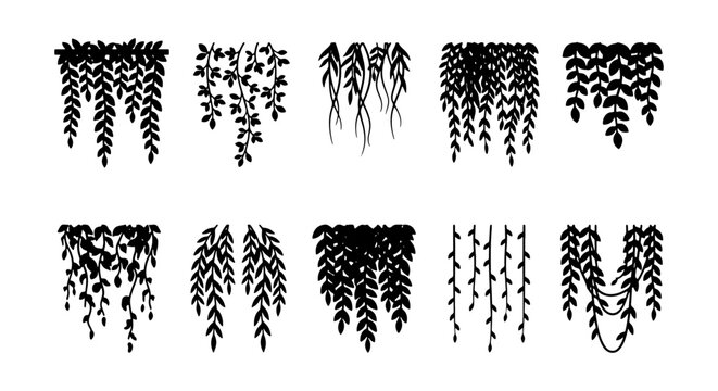 Hanging plant silhouettes, set of 10 black botanical leaf vectors, trailing ivy and vine illustrations, decorative floral foliage elements for border design