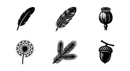 Vintage nature icons set, black ink botanical illustrations, 6 vector elements including feathers, poppy pod, dandelion, pine branch and acorn © Rakib