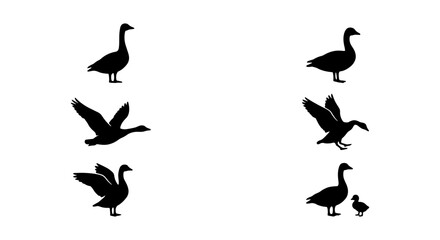 Black goose silhouette collection, wild waterfowl bird vector set, flying and standing geese icons, 6 nature elements for hunting and wildlife design © Lamiya