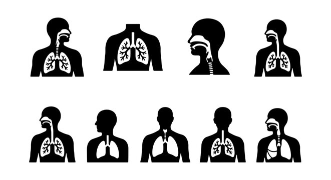 Respiratory system icons set, human lungs and breathing anatomy symbols, medical vector illustrations of pulmonary health and airway diagrams