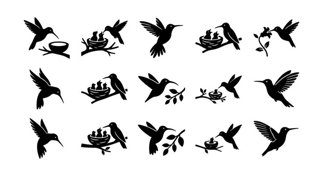 Hummingbird silhouette icon set, flying bird with nest and flower vector collection, black colibri bird life cycle graphics for nature branding