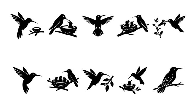 Hummingbird silhouette vector icons, set of 10 black bird illustrations with nests and flowers, minimalist avian wildlife graphics for logos