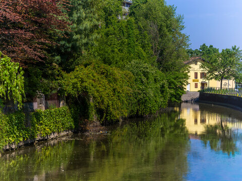 vegetazione al parco con fiume
