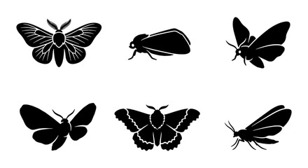 Vintage moth silhouette collection, black butterfly insect icons, set of 6 nocturnal moth vector illustrations for nature branding and tattoo design © Tanzina