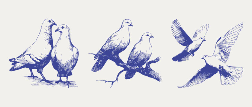 Romantic dove pairs and flying birds sketch set. Illustrations for wedding invitations and love themed decor, in crayon drawn pencil style with soft textured lines and fine shading strokes.