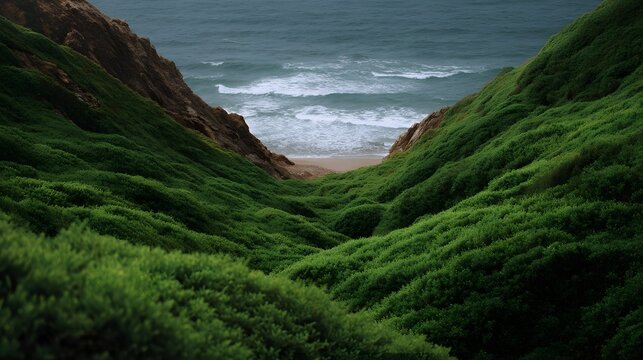 Lush emerald green slopes descend into a sheltered cove meeting the restless ocean waves in a dramatic natural landscape