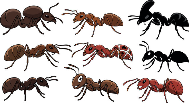 Cartoon ants collection with different poses and styles including realistic and stylized insects isolated on light background vector illustration set