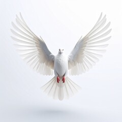 Obraz premium White dove flying with wings spread in soft light symbolizing peace and freedom