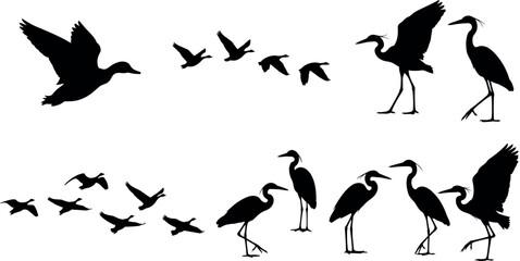 Fototapeta premium Heron and Flying Bird Silhouette Set with Water Birds, Flock Elements, and Wildlife Shapes for Nature, Logo, and Vector Illustration Design