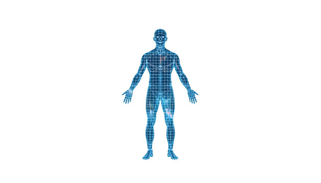 A blue wireframe of a Caucasian man on transparent background