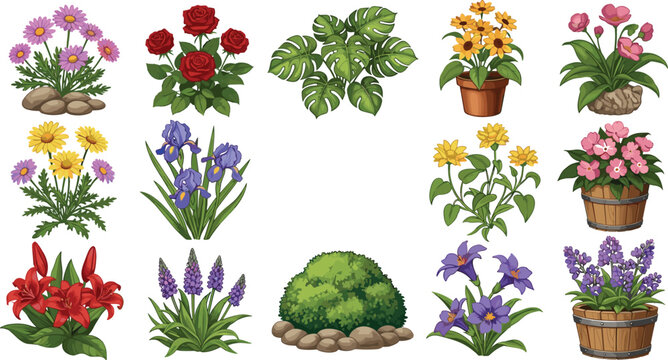 Garden flowers and plants collection set with roses, daisies, potted plants and shrubs in detailed flat cartoon vector illustration style