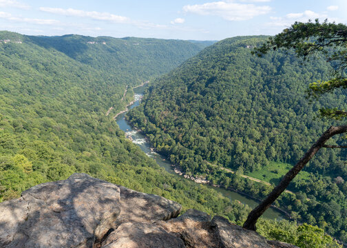New River Gorge National Park and Preserve, West Virginia. View of New River Gorge from Endless Wall Trail and Diamond Point, Fern Creek Trailhead, Nuttall Trailhead.