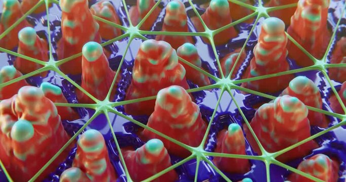 Colorful coral forms rise from deep blue waters loop