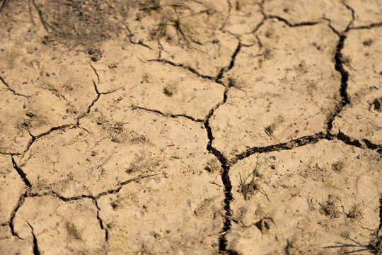 Dry Cracked Earth Surface in Arid Environment