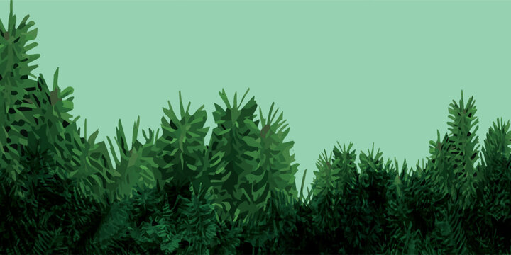 Close-up view of lush green pine tree branches against a soft mint green background.