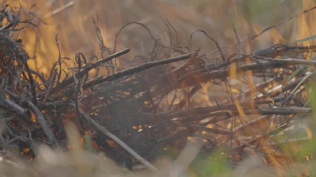 Bright flames engulf a bundle of dry twigs and grass, with swirling smoke and glowing orange heat creating an intense wildfire or campfire scene full of motion and energy.