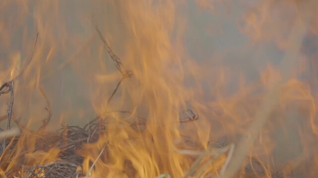 Bright flames engulf a bundle of dry twigs and grass, with swirling smoke and glowing orange heat creating an intense wildfire or campfire scene full of motion and energy.