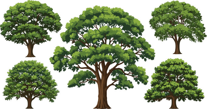 Large tree isolated collection vector big green forest trees set on white background