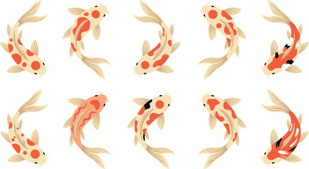 Fototapeta premium Top view vector collection of elegant koi carp fish with colorful orange and red spots swimming isolated on white background for Japanese zen and pond garden designs.