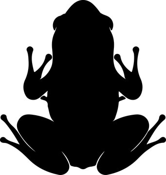 Black silhouette of a frog in a top-down view with detailed legs and webbed feet