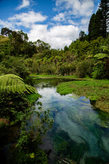 the clear stream of nz © Louis
