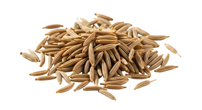 Close-up of dried corn kernels in natural light isolated on transparent background