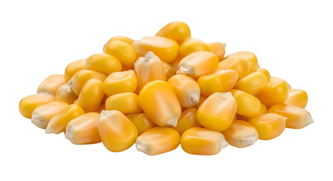 Fresh yellow corn kernels in a pile isolated on transparent background