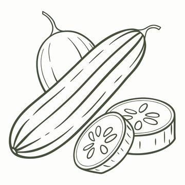 Stylized outline of a cucumber with slices and a round melon, white background