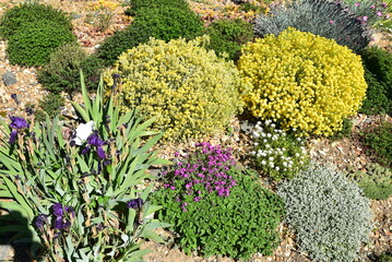 Obraz premium Jardin de rocaille&nbsp;au&nbsp;printemps