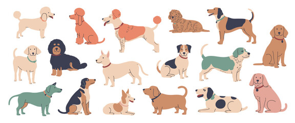 Fototapeta premium Collection of various dog breeds in a flat style featuring different colors and poses including standing sitting and lying down dogs isolated on a white background
