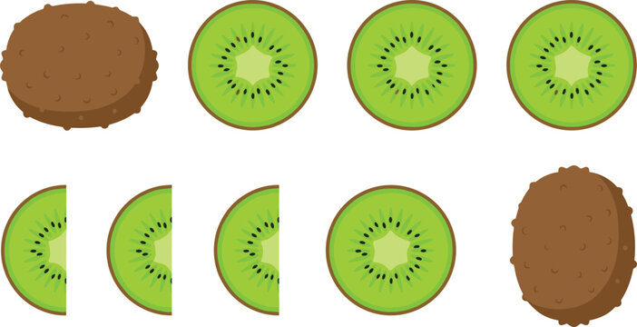 Cartoon vector illustration of kiwi fruit showing whole, sliced, and half pieces with vibrant green interiors