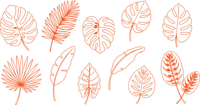 Orange Outline Tropical Leaves Collection monstera leaf 1