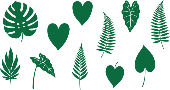 Collection of green tropical leaves and hearts leaf