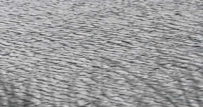 Pond lake water surface gentle ripples river bank grass soft focus