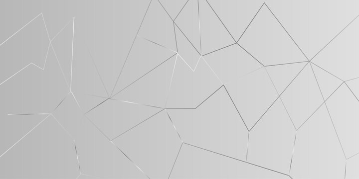 Chaotic abstract line background. Random geometric line seamless pattern. White texture abstract background with lines design, empty space, universe concept. Abstract network polygonal connect lines 
