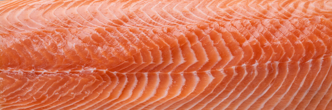 Raw salmon texture banner close up fish background natural pattern