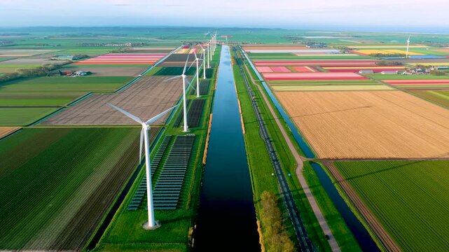 Aerial view of wind turbines, solar panels, and vibrant tulip fields along a straight canal under a clear sky in Petten, North Holland, Netherlands.