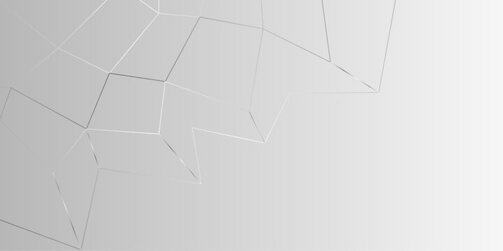 Chaotic abstract line background. Random geometric line seamless pattern. White texture abstract background with lines design, empty space, universe concept. Abstract network polygonal connect lines 
