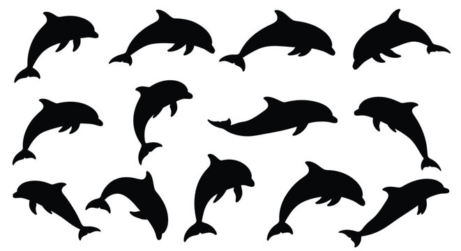 A collection of leaping dolphins in various poses a striking silhouette