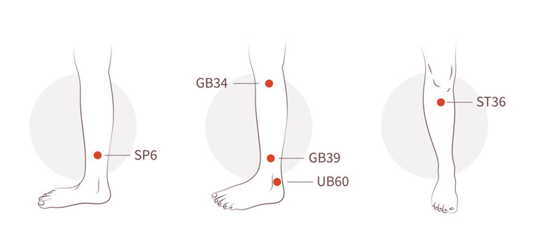 Leg and ankle acupressure points
