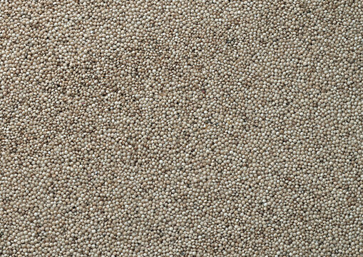 Dry amaranth grains in big pile on table close up. Large amount of yellow amaranth grains