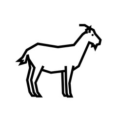 Obraz premium Goat
